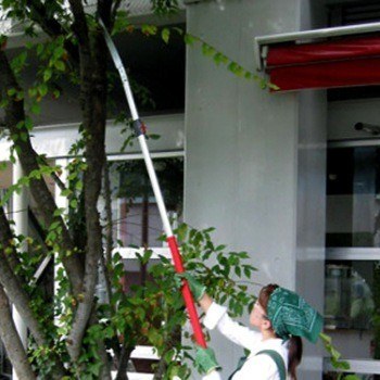 lady using manual pole saw